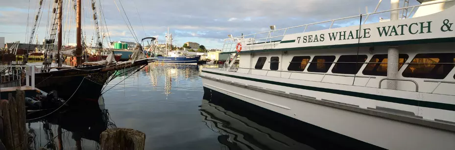 gloucester harbor