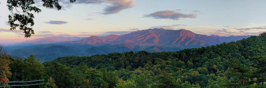 Gatlinburg, TN is receiving donations to recover its landscape after a wildfire.