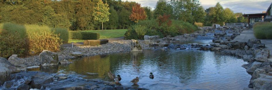 Wilsonville, Oregon Public Water Wilsonville, OR drinking water was recently called an Outstanding Performer.