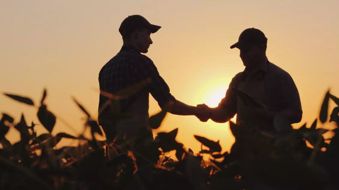 Two people shake hands standing in an agricultural field